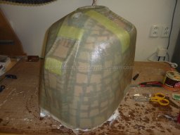 Engine cowl (32)